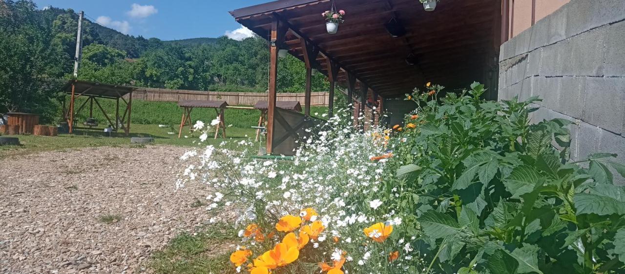 네호이우 Casa Galeata 빌라 외부 사진